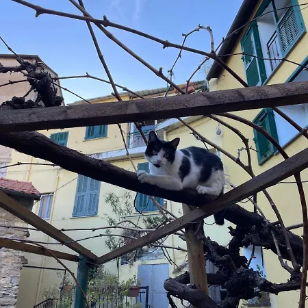 U Murina By Interhome Σπίτι διακοπών Pietrabruna
